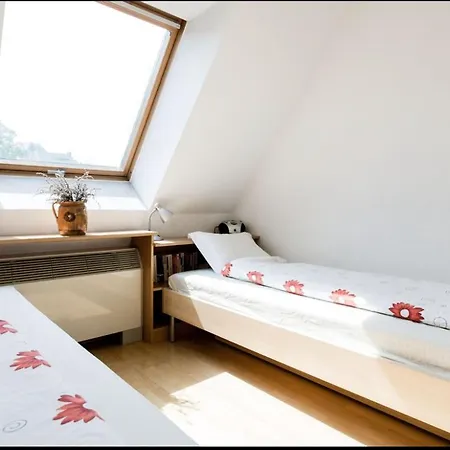 Апартаменты Penthouse By The Danube Будапешт